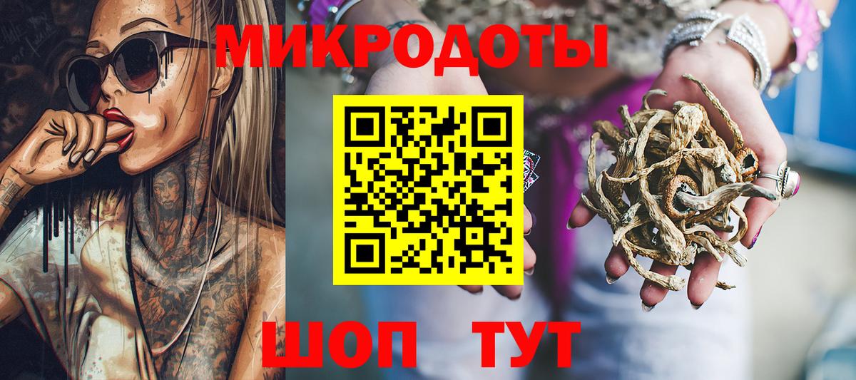 Галлюциногенные грибы Psilocybine cubensis Дедовск
