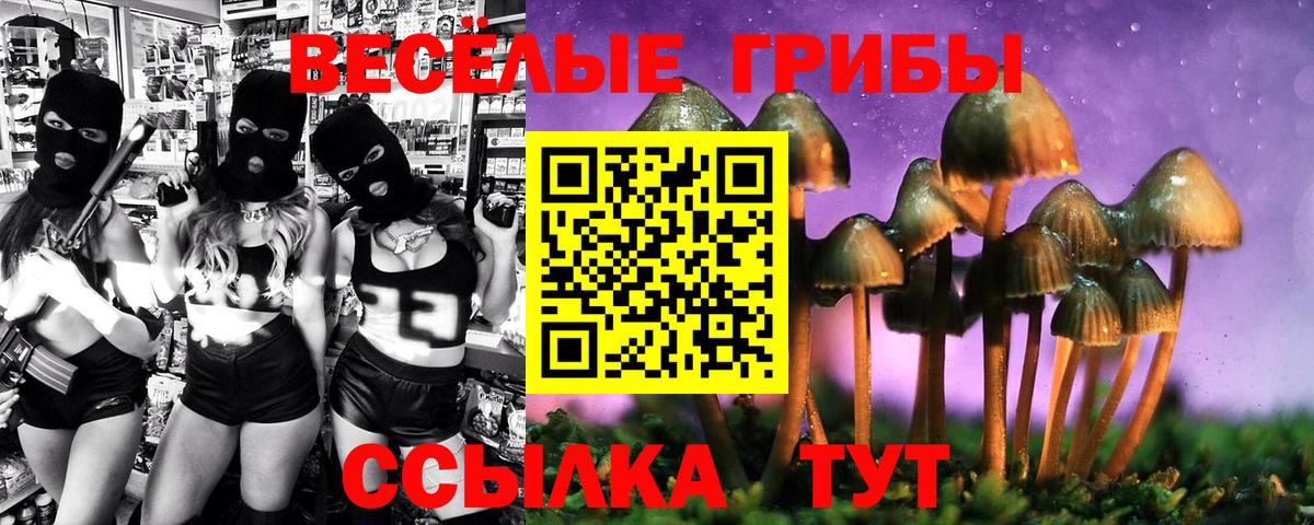 Дедовск  Галлюциногенные грибы Psilocybe  что такое наркотик  Вход с VPN 